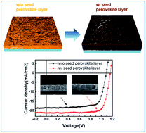 Graphical abstract: The introduction of a perovskite seed layer for high performance perovskite solar cells