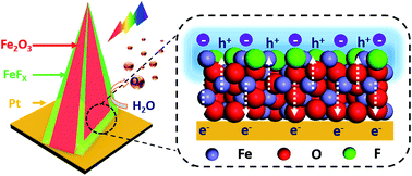 Graphical abstract: Ultrathin FeFx nanolayers accelerating hole transfer for enhanced photoelectrochemical water oxidation
