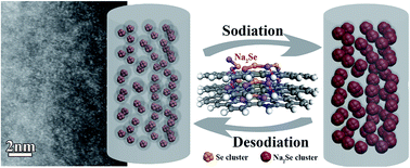 Graphical abstract: Selenium clusters in Zn-glutamate MOF derived nitrogen-doped hierarchically radial-structured microporous carbon for advanced rechargeable Na–Se batteries
