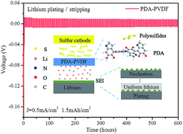 Graphical abstract: Lithiophilic gel polymer electrolyte to stabilize the lithium anode for a quasi-solid-state lithium–sulfur battery