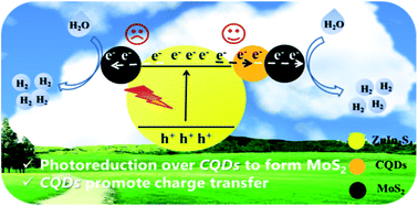 Graphical abstract: MoS2/CQDs obtained by photoreduction for assembly of a ternary MoS2/CQDs/ZnIn2S4 nanocomposite for efficient photocatalytic hydrogen evolution under visible light