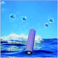 Graphical abstract: A “MOFs plus MOFs” strategy toward Co–Mo2N tubes for efficient electrocatalytic overall water splitting