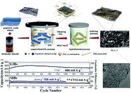 Graphical abstract: A new strategy for the construction of 3D TiO2 nanowires/reduced graphene oxide for high-performance lithium/sodium batteries