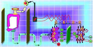 Graphical abstract: 3D flower-like hierarchical NiCo2O4 architecture on carbon cloth fibers as an anode catalyst for high-performance, durable direct urea fuel cells