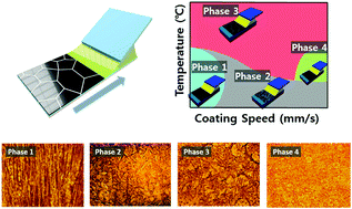Graphical abstract: Effects of temperature and coating speed on the morphology of solution-sheared halide perovskite thin-films