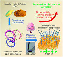 Graphical abstract: Morphology engineering of protein fabrics for advanced and sustainable filtration