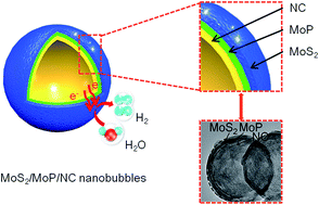 Graphical abstract: Heterointerface engineering of trilayer-shelled ultrathin MoS2/MoP/N-doped carbon hollow nanobubbles for efficient hydrogen evolution