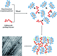 Graphical abstract: Creating ionic channels in single-ion conducting solid polymer electrolyte by manipulating phase separation structure