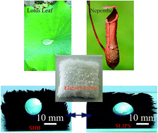 Graphical abstract: A facile approach to achieve bioinspired PDMS@Fe3O4 fabric with switchable wettability for liquid transport and water collection