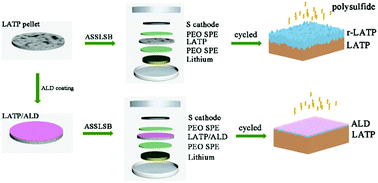Graphical abstract: Stabilization of all-solid-state Li–S batteries with a polymer–ceramic sandwich electrolyte by atomic layer deposition