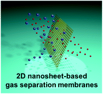 Graphical abstract: Two-dimensional nanosheet-based gas separation membranes