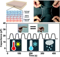 Graphical abstract: Ultra-stretchable, bio-inspired ionic skins that work stably in various harsh environments