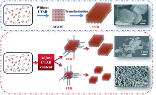 Graphical abstract: Synthesis and catalytic application of FER zeolites with controllable size