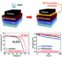 Graphical abstract: A highly stable and efficient carbon electrode-based perovskite solar cell achieved via interfacial growth of 2D PEA2PbI4 perovskite