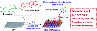 Graphical abstract: Highly efficient uranium adsorption by salicylaldoxime/polydopamine graphene oxide nanocomposites