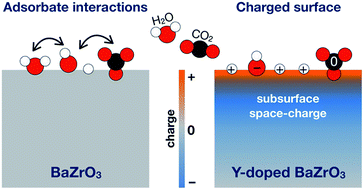 Graphical abstract: Interplay between H2O and CO2 coadsorption and space-charge on Y-doped BaZrO3 surfaces