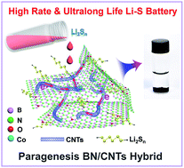 Graphical abstract: Paragenesis BN/CNTs hybrid as a monoclinic sulfur host for high rate and ultra-long life lithium–sulfur battery