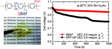 Graphical abstract: Sulfonated aromatic polymers containing hexafluoroisopropylidene groups: a simple but effective structure for fuel cell membranes