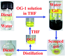 Graphical abstract: Phase selective organogel from an imine based gelator for use in oil spill recovery