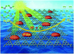 Graphical abstract: Conjugated polymer dots/graphitic carbon nitride nanosheet heterojunctions for metal-free hydrogen evolution photocatalysis