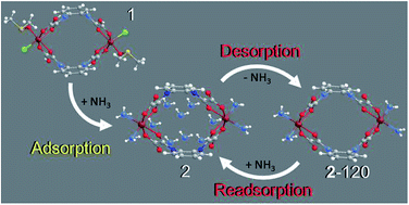 Graphical abstract: An FeIII dinuclear metallacycle complex as a size-selective adsorbent for nitrogenous compounds and a potentially effective ammonia storage material