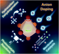 Graphical abstract: Recent advances in anion-doped metal oxides for catalytic applications