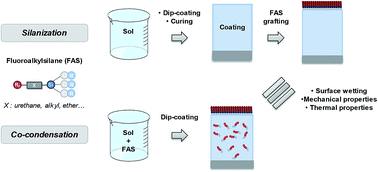 Graphical abstract: Distribution of fluoroalkylsilanes in hydrophobic hybrid sol–gel coatings obtained by co-condensation