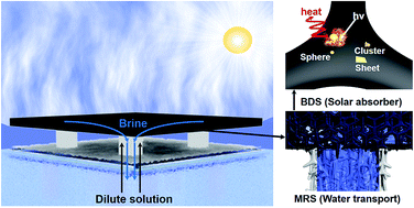 Graphical abstract: A high-absorption and self-driven salt-resistant black gold nanoparticle-deposited sponge for highly efficient, salt-free, and long-term durable solar desalination