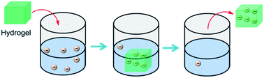 Graphical abstract: Hydrogels for anion removal from water