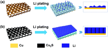 Graphical abstract: Realizing stable lithium deposition by in situ grown Cu2S nanowires inside commercial Cu foam for lithium metal anodes