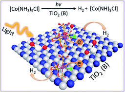 Graphical abstract: Enhancement of photocatalytic H2 production by metal complex electrostatic adsorption on TiO2 (B) nanosheets