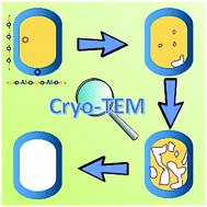 Graphical abstract: Cryo-TEM and electron tomography reveal leaching-induced pore formation in ZSM-5 zeolite