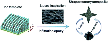 Graphical abstract: Ultratough nacre-inspired epoxy–graphene composites with shape memory properties