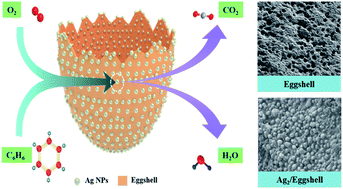 Graphical abstract: Enhanced catalytic benzene oxidation over a novel waste-derived Ag/eggshell catalyst