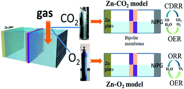 Graphical abstract: A trifunctional Ni–N/P–O-codoped graphene electrocatalyst enables dual-model rechargeable Zn–CO2/Zn–O2 batteries