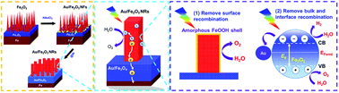 Graphical abstract: Simultaneous reduction of surface, bulk, and interface recombination for Au nanoparticle-embedded hematite nanorod photoanodes toward efficient water splitting
