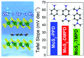 Graphical abstract: Intercalated complexes of 1T′-MoS2 nanosheets with alkylated phenylenediamines as excellent catalysts for electrochemical hydrogen evolution