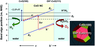 Graphical abstract: Mechanism for spontaneous oxygen and hydrogen evolution reactions on CoO nanoparticles