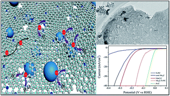 Graphical abstract: Ultra-small Mo2C nanodots encapsulated in nitrogen-doped porous carbon for pH-universal hydrogen evolution: insights into the synergistic enhancement of HER activity by nitrogen doping and structural defects