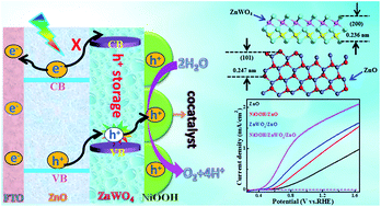 Graphical abstract: Epitaxial growth of ZnWO4 hole-storage nanolayers on ZnO photoanodes for efficient solar water splitting
