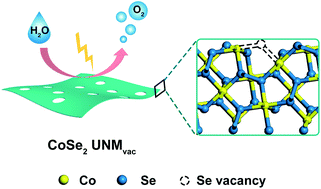 Graphical abstract: Selenium vacancy-rich CoSe2 ultrathin nanomeshes with abundant active sites for electrocatalytic oxygen evolution