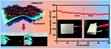 Graphical abstract: A highly integrated All-manganese battery with oxide nanoparticles supported on the cathode and anode by super-aligned carbon nanotubes