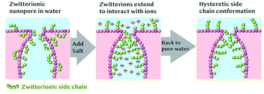 Graphical abstract: Zwitterionic copolymer additive architecture affects membrane performance: fouling resistance and surface rearrangement in saline solutions