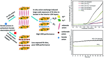Graphical abstract: An in situ anion exchange induced high-performance oxygen evolution reaction catalyst for the pH-near-neutral potassium borate electrolyte
