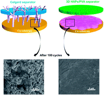 Graphical abstract: A 3D flexible and robust HAPs/PVA separator prepared by a freezing-drying method for safe lithium metal batteries