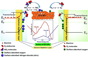 Graphical abstract: High-performance NO2-gas sensing of ultrasmall ZnFe2O4 nanoparticles based on surface charge transfer