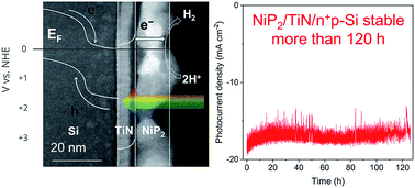 Graphical abstract: Creating stable interfaces between reactive materials: titanium nitride protects photoabsorber–catalyst interface in water-splitting photocathodes