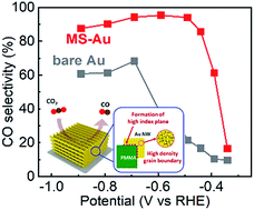 Graphical abstract: Versatile, transferrable 3-dimensionally nanofabricated Au catalysts with high-index crystal planes for highly efficient and robust electrochemical CO2 reduction