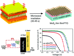 Graphical abstract: Perovskite solar cells with an MoS2 electron transport layer