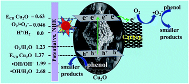 Graphical abstract: A highly stable metal–organic framework derived phosphorus doped carbon/Cu2O structure for efficient photocatalytic phenol degradation and hydrogen production